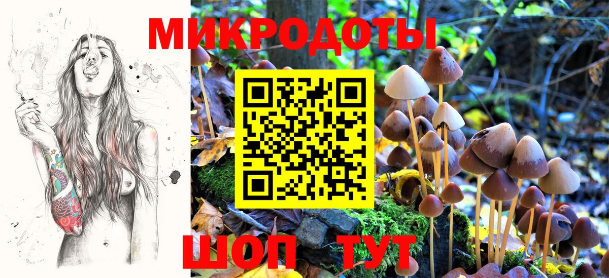 Псилоцибиновые грибы Psilocybine cubensis Егорьевск