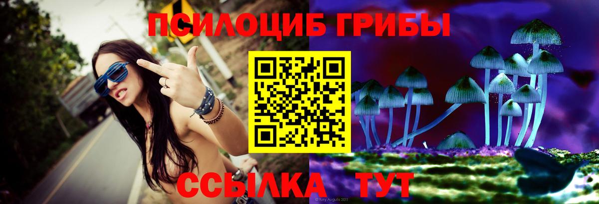 Псилоцибиновые грибы Cubensis  Вход с VPN  Егорьевск  Псилоцибиновые грибы MAGIC MUSHROOMS 